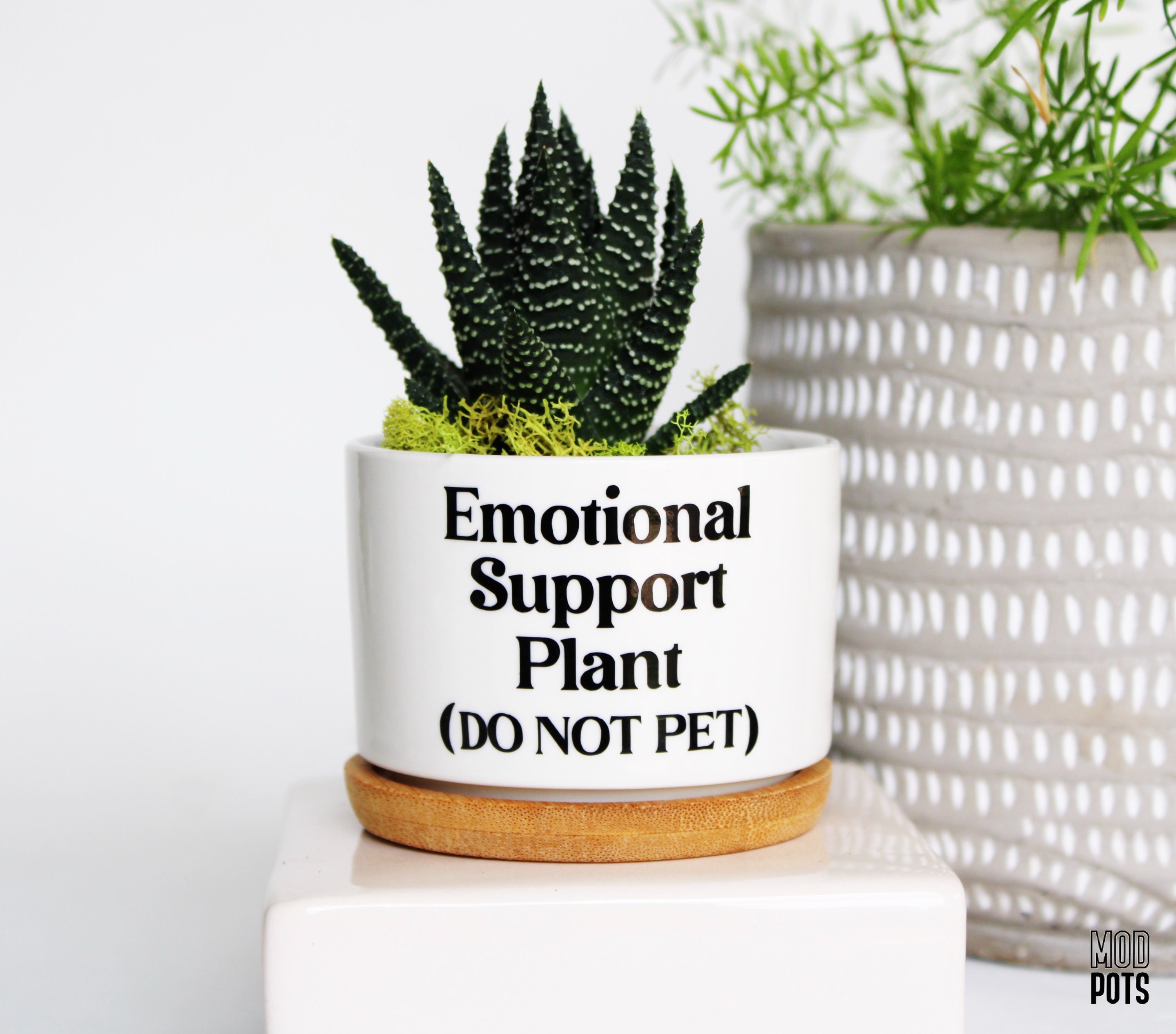 Emotional Support Plant (DO NOT PET) | Funny Planter | Emotional Support  Plant | Funny Plant Pot | Pun Pots | Desk Planter | Funny Planters - Etsy