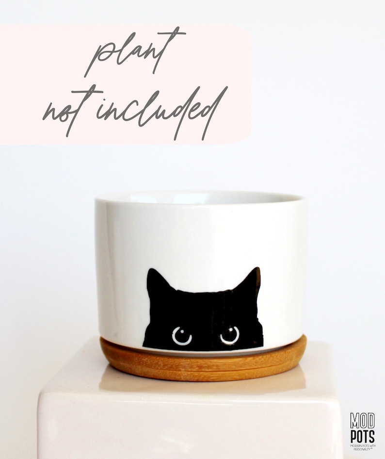 black cat planter cat plant pot cat lover gift cat pot cat planter cat planter pot cat mom black cat cats and plants cats image 5