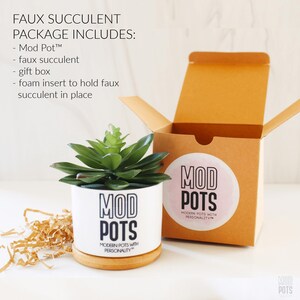 pet memorial | pet sympathy gift | dog remembrance | in memory of dog | sorry for your loss | forever in our hearts | dog sympathy gift Pot w/FAUX Succulent