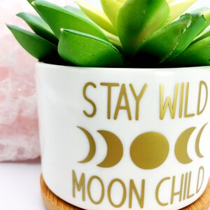Puede incluir: Maceta de cer&aacute;mica blanca con una inscripci&oacute;n dorada que dice "Stay Wild Moon Child". La maceta tiene un dise&ntilde;o de luna y media luna dorados y se asienta sobre una base de madera. Una planta suculenta verde est&aacute; en la maceta.
