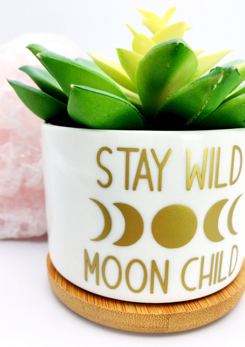 Puede incluir: Maceta de cer&aacute;mica blanca con una inscripci&oacute;n dorada que dice "Stay Wild Moon Child". La maceta tiene un dise&ntilde;o de luna y media luna dorados y se asienta sobre una base de madera. Una planta suculenta verde est&aacute; en la maceta.
