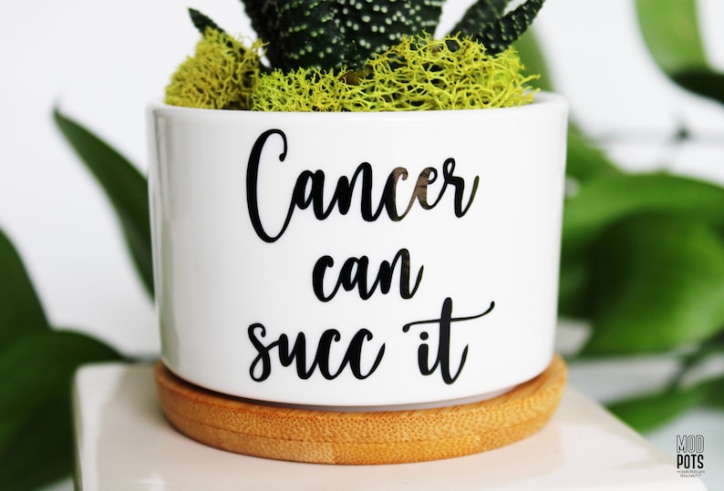 May include: White ceramic pot with the text "Cancer can succ it" in black script. The pot contains a succulent plant with green and yellow moss. The pot sits on a round, light brown bamboo coaster.