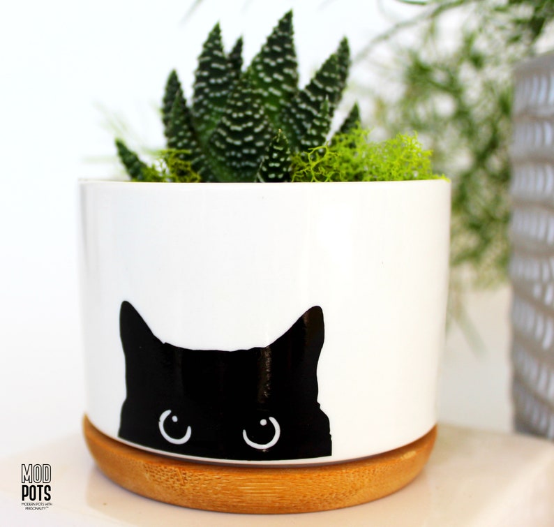 black cat planter cat plant pot cat lover gift cat pot cat planter cat planter pot cat mom black cat cats and plants cats image 4