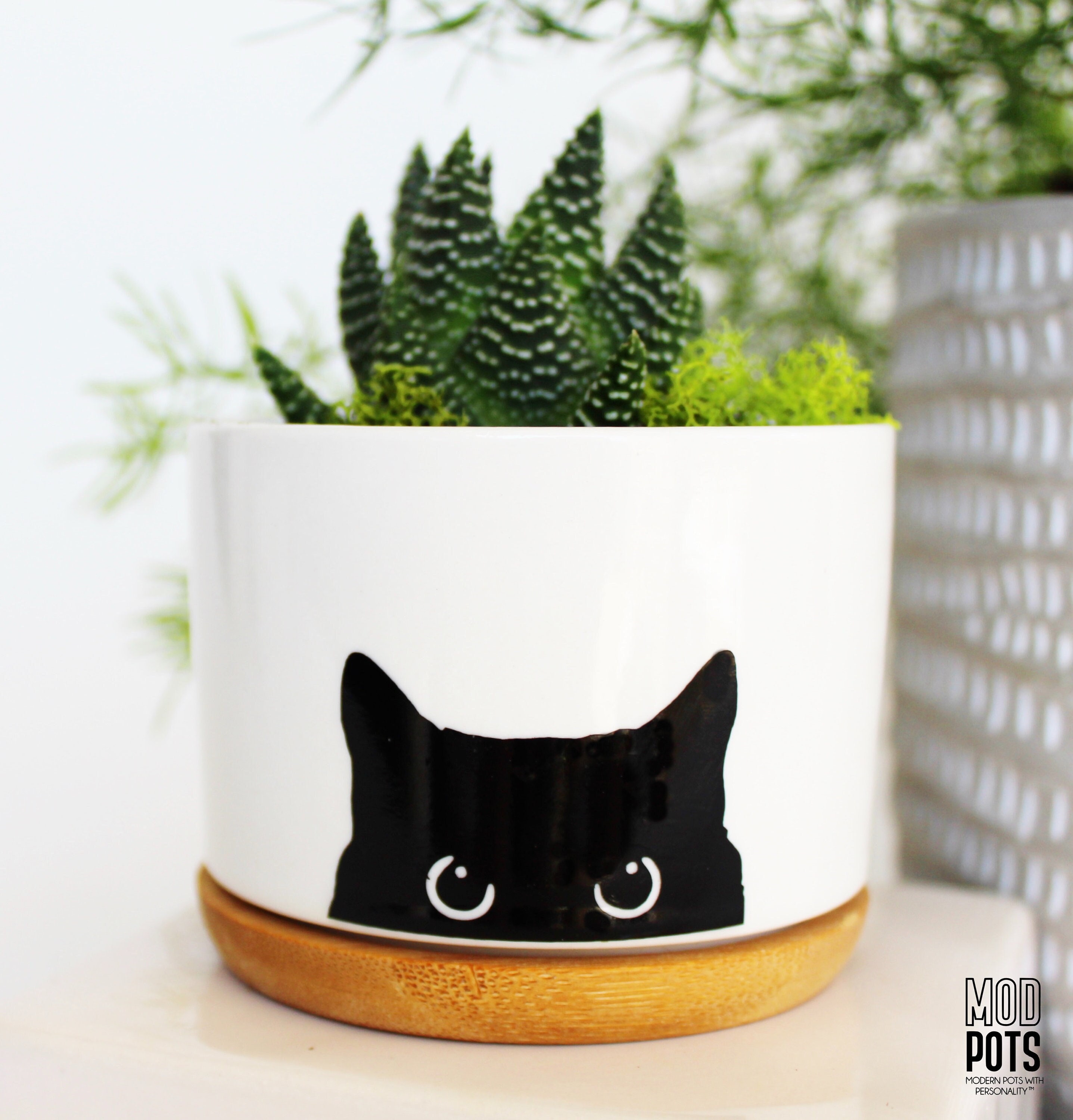 black cat succulent pot | black cat planter | cat lover gift | cat pot | cat planter | cat planter pot | cat mom | black cat | peeking cat