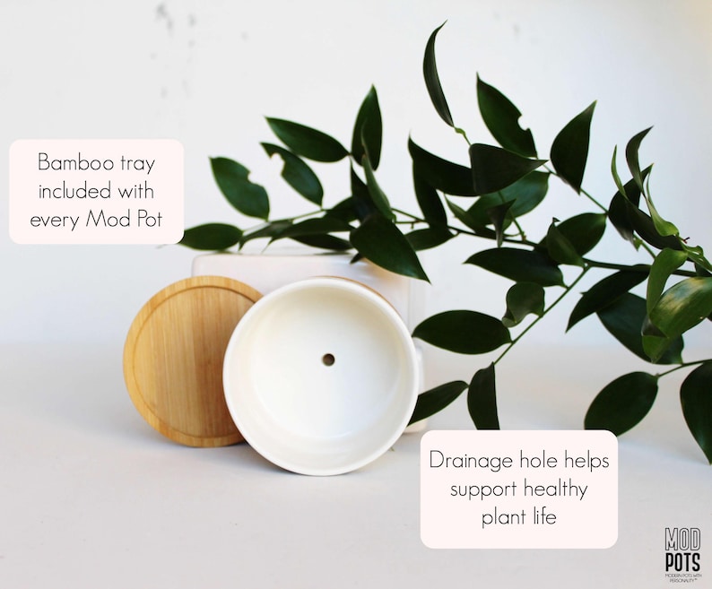 K&ouml;nnte beinhalten: Ein wei&szlig;er Keramik-Pflanztopf mit einem Abzugsloch, zusammen mit einem Bambustablett und Deckel. Das Bild zeigt gr&uuml;nes Laub vor einem wei&szlig;en Hintergrund. Text: "Bamboo tray included with every Mod Pot" und "Drainage hole helps support healthy plant life."