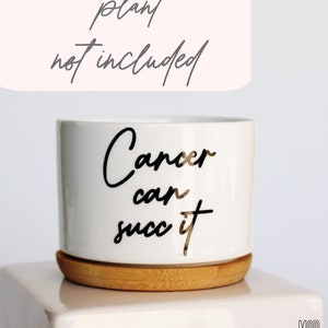 Cancer Can Succ It™, succulent planter, cancer survivor gift, Cancer can succ it, cancer can suck it, cancer survivor, cancer free Pot Only