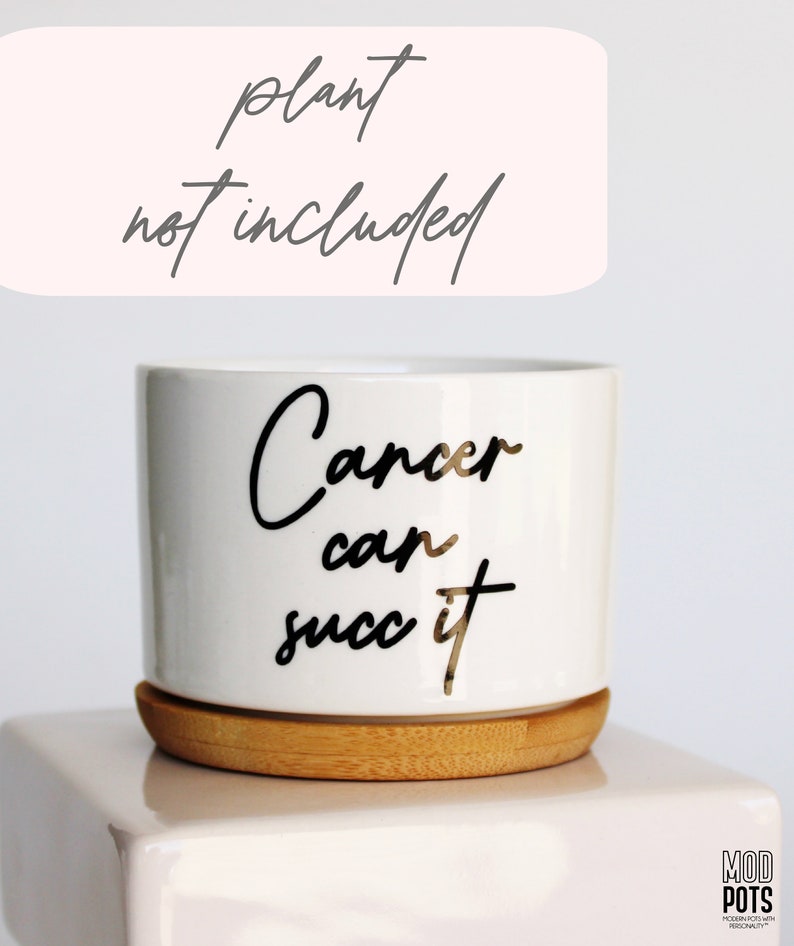 Cancer Can Succ It™, succulent planter, cancer survivor gift, Cancer can succ it, cancer can suck it, cancer survivor, cancer free Pot Only