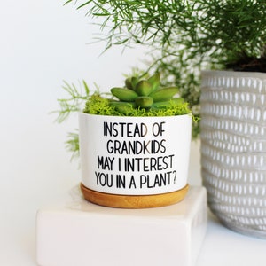 Instead of grandkids may I interest you in a plant funny planter mothers day gift funny gift for parents funny mothers day image 9
