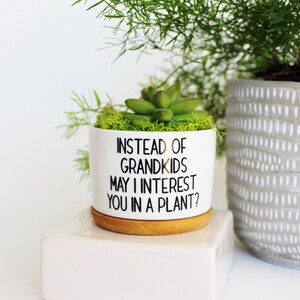 May include: White ceramic planter with the text "INSTEAD OF GRANDKIDS MAY I INTEREST YOU IN A PLANT?" contains a green succulent and moss. The planter sits on a bamboo saucer. A second gray patterned planter is visible in the background.