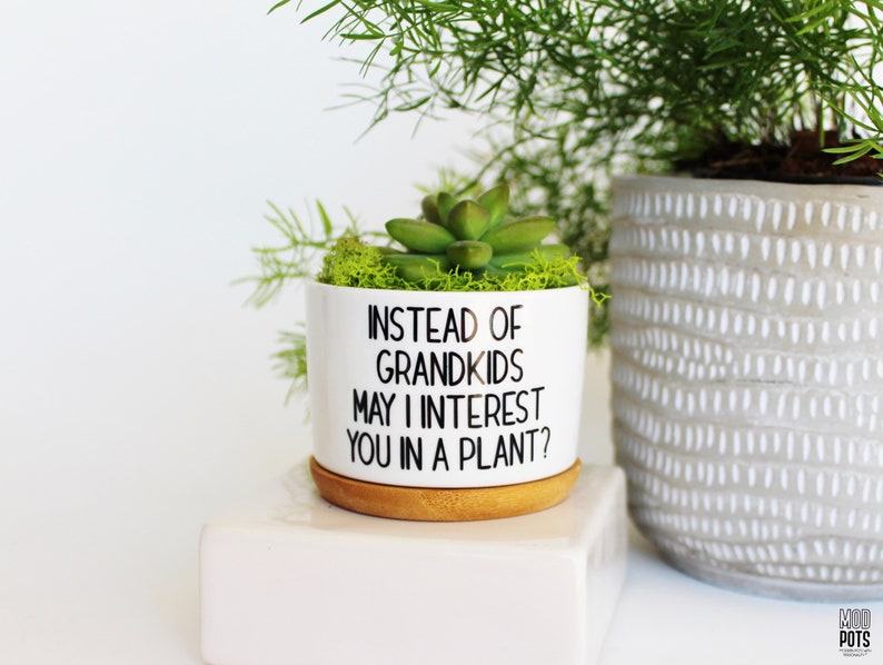 May include: White ceramic planter with the text "INSTEAD OF GRANDKIDS MAY I INTEREST YOU IN A PLANT?" contains a green succulent and moss. The planter sits on a bamboo saucer. A second gray patterned planter is visible in the background.