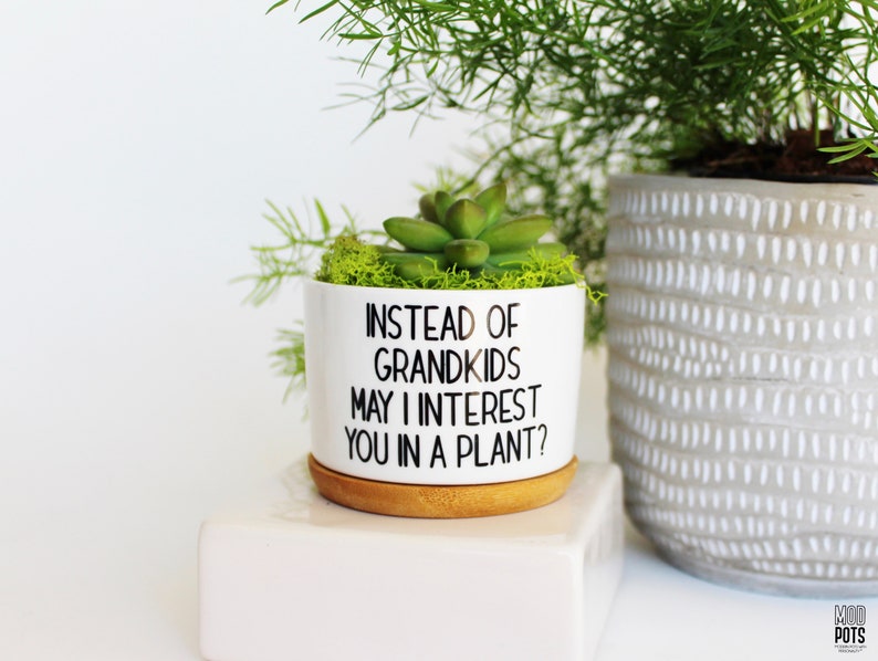 Instead of grandkids may I interest you in a plant funny planter mothers day gift funny gift for parents funny mothers day image 9