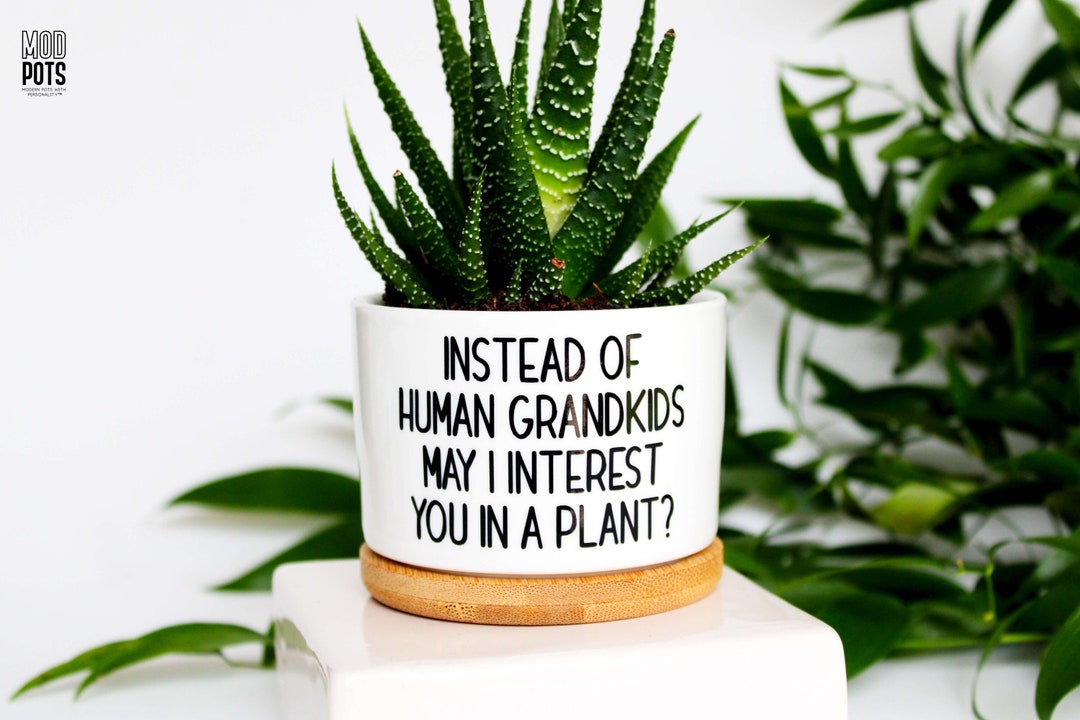 Instead of Human Grandkids May I Interest You in a Plant | Grand Dogs ...