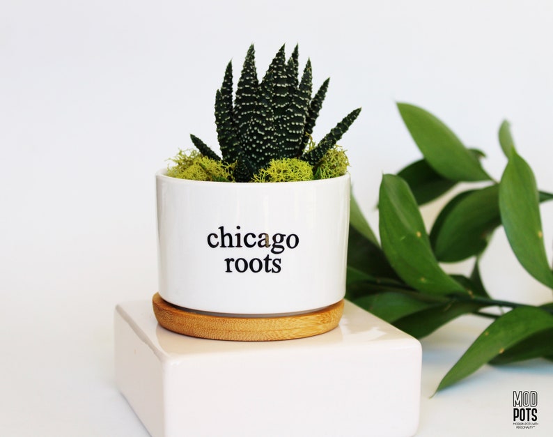 Chicago Roots Chicago Souvenir From Chicago Originally Etsy