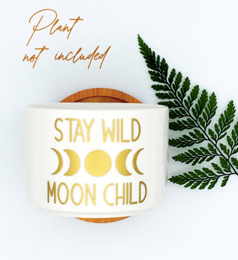 Puede incluir: Maceta de cer&aacute;mica blanca con una inscripci&oacute;n dorada que dice "Stay Wild Moon Child". La inscripci&oacute;n incluye un sol estilizado y fases lunares. La maceta est&aacute; sobre una base de madera.