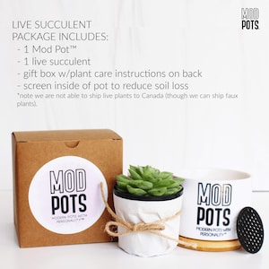 May include: A live succulent package includes a Mod Pot, a live succulent, a gift box, and a screen. The Mod Pots are white with black text. The succulent is in a white pot tied with twine. The text on the box reads "MOD POTS".