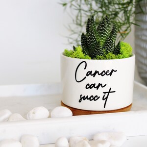 Cancer Can Succ It™, succulent planter, cancer survivor gift, Cancer can succ it, cancer can suck it, cancer survivor, cancer free image 10