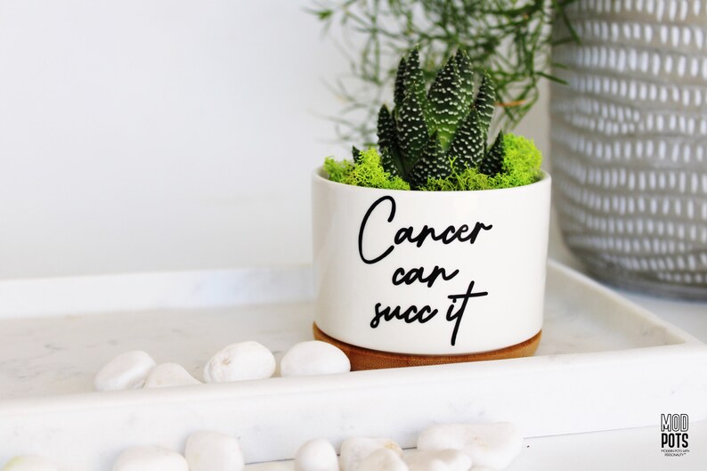 Cancer Can Succ It™, succulent planter, cancer survivor gift, Cancer can succ it, cancer can suck it, cancer survivor, cancer free image 10