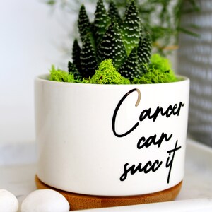Cancer Can Succ It™, succulent planter, cancer survivor gift, Cancer can succ it, cancer can suck it, cancer survivor, cancer free image 2