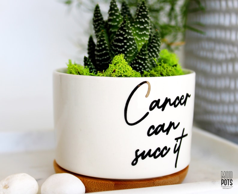 Cancer Can Succ It™, succulent planter, cancer survivor gift, Cancer can succ it, cancer can suck it, cancer survivor, cancer free image 2