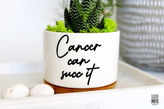 Cancer Can Succ It™, succulent planter, cancer survivor gift, Cancer can succ it, cancer can suck it, cancer survivor, cancer free