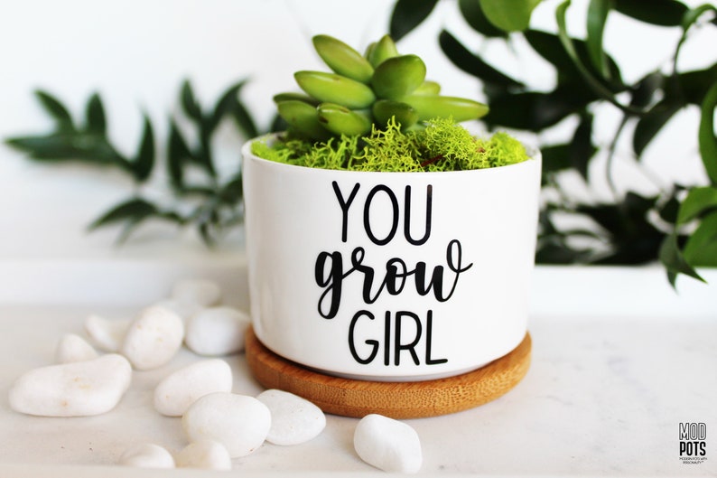 Puede incluir: Maceta de cer&aacute;mica blanca con una planta suculenta verde y musgo. La maceta tiene el texto "YOU grow GIRL" escrito en negro.