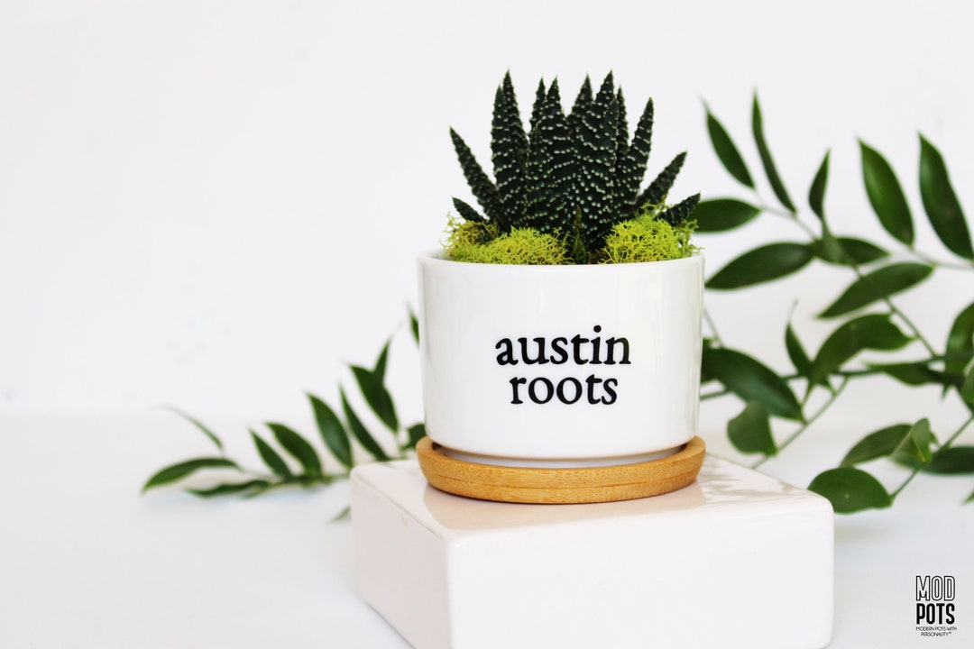 Austin Roots | Austin Texas | Austin, Austin Gift | Austin Tx | Moving ...