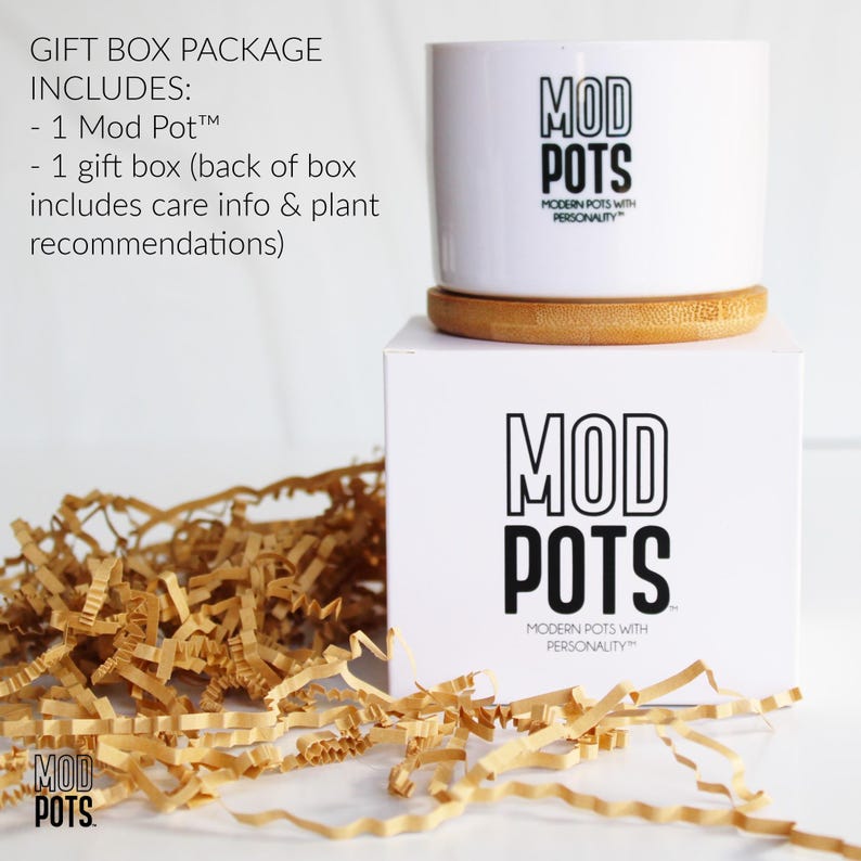 May include: A white ceramic Mod Pot with the brand's logo, sitting on a wooden coaster and a white box. The box also features the Mod Pots logo. The gift box package includes a Mod Pot and a gift box with care info and plant recommendations.