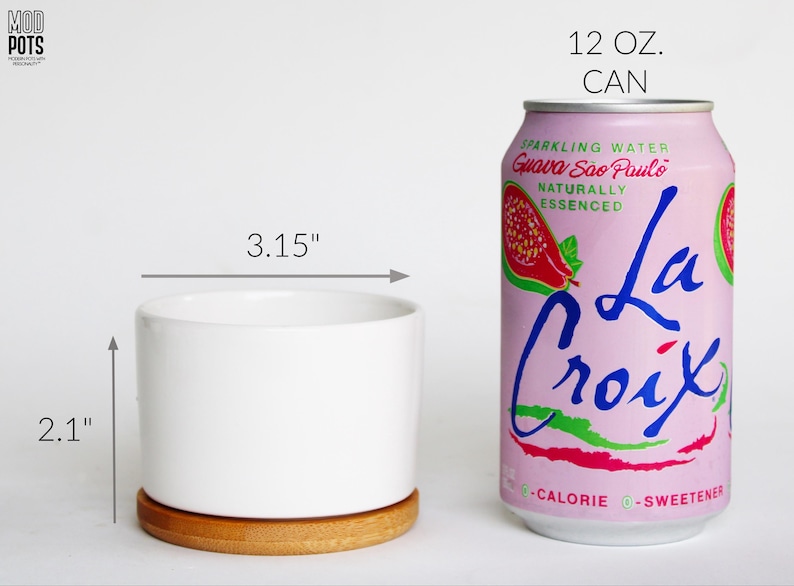 May include: A white ceramic planter, 3.15 inches wide and 2.1 inches tall, sits on a wooden coaster. Next to it is a 12 oz. can of La Croix sparkling water with a guava flavor. The can is pink with a guava illustration.