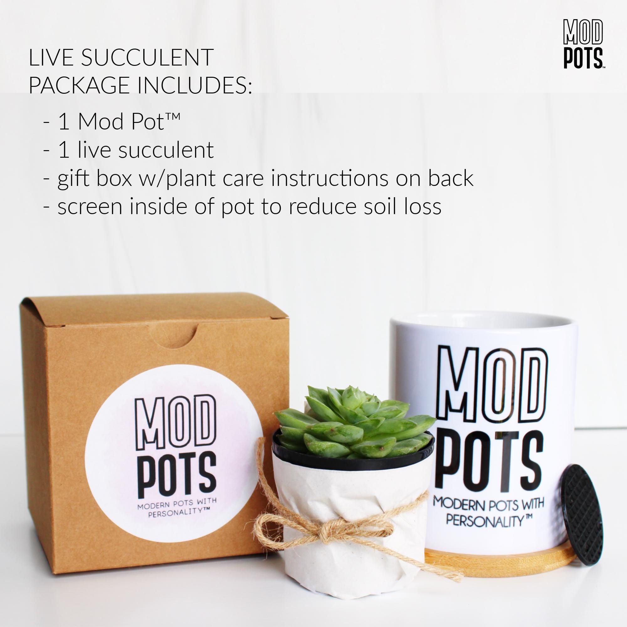 Tall Custom Mod Pot | Personalized Planter | Custom Plant Pot | Custom ...