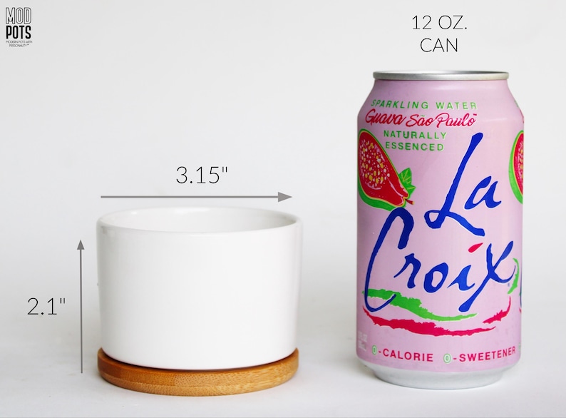 May include: A white ceramic planter, 3.15 inches wide and 2.1 inches tall, sits on a wooden base. Next to it is a pink La Croix can, 12 oz, with guava artwork and text. The planter is a modern design.