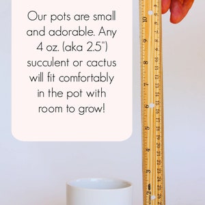 May include: A white ceramic plant pot with a wooden base, shown with a ruler. The text states the pot is suitable for a 4 oz. succulent or cactus. The pot is approximately 2.5 inches in diameter.
