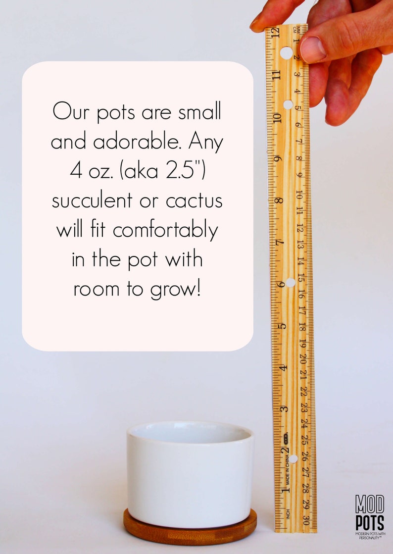 May include: A white ceramic plant pot with a wooden base, shown with a ruler. The text states the pot is suitable for a 4 oz. succulent or cactus. The pot is approximately 2.5 inches in diameter.