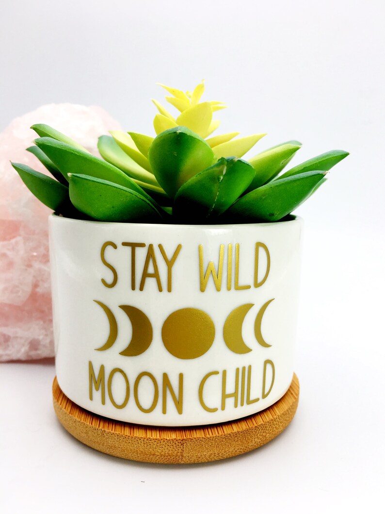 Puede incluir: Maceta de cer&aacute;mica blanca con un dise&ntilde;o dorado que dice "Stay Wild Moon Child" con un gr&aacute;fico de luna creciente y luna llena dorada. La maceta tiene una planta suculenta verde en su interior y una base de madera.