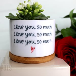I Love You So Much Planter: Austin Souvenir with Wood Tray