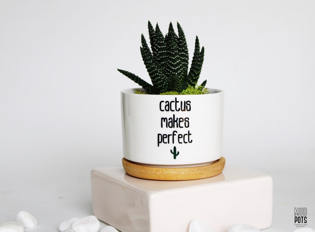 Cactus Makes Perfect| Funny Planter | Funny Planters | Funny Plant Pot ...