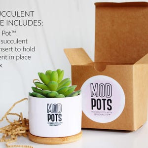 May include: A white ceramic Mod Pot with a faux succulent, sitting on a wooden coaster. The pot has the words "MOD POTS" printed on it. A brown gift box is open in the background. The text on the image says "FAUX SUCCULENT PACKAGE INCLUDES: - 1 Mod Pot - 1 faux succulent - foam insert to hold succulent in place - gift box."