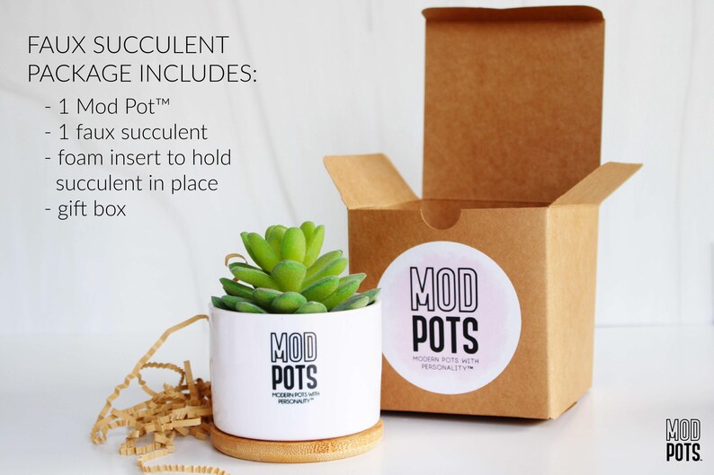 May include: A white ceramic Mod Pot with a faux succulent, sitting on a wooden coaster. The pot has the words "MOD POTS" printed on it. A brown gift box is open in the background. The text on the image says "FAUX SUCCULENT PACKAGE INCLUDES: - 1 Mod Pot - 1 faux succulent - foam insert to hold succulent in place - gift box."