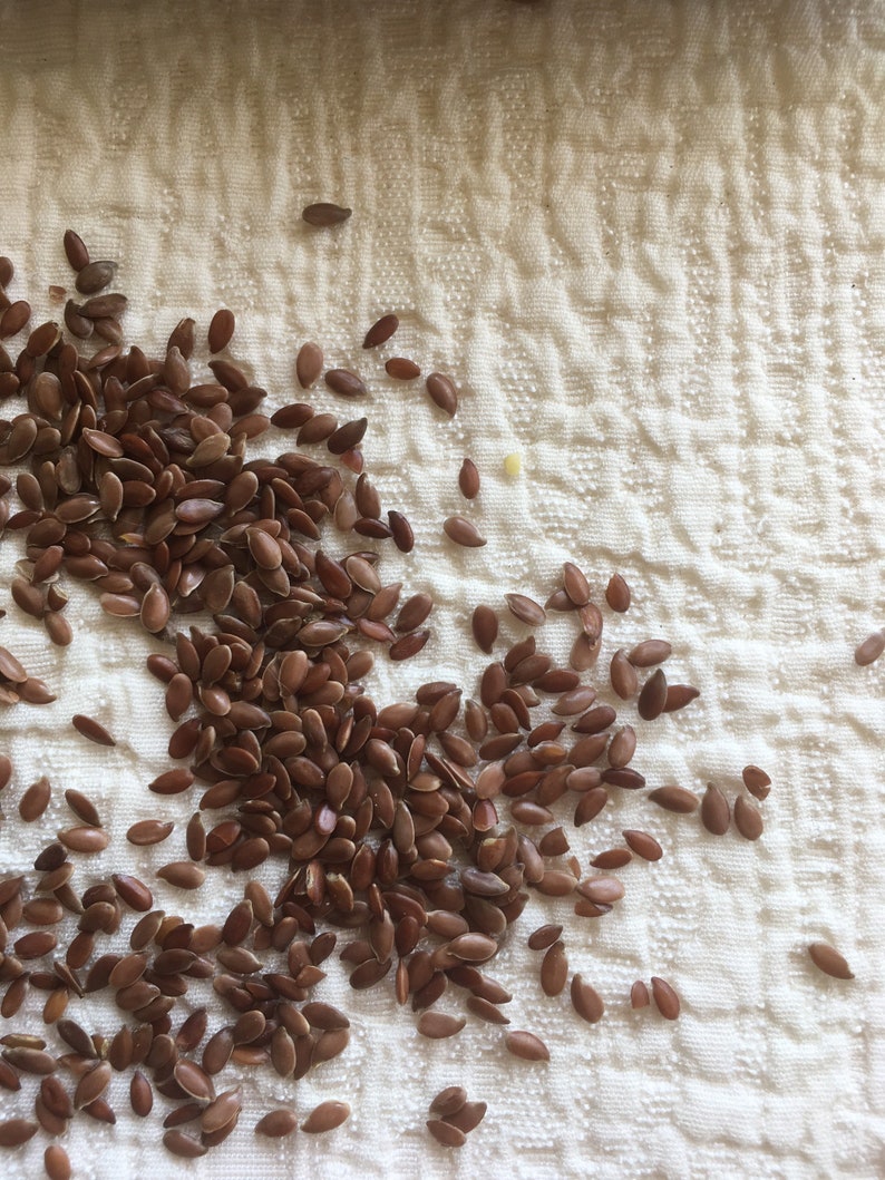May include: A close-up of a white cloth surface with a scattering of brown flax seeds.