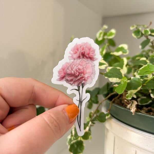 Pink Carnation Flower January Birth Flower Clear Waterproof Sticker