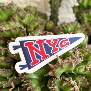 May include: A red and blue pennant sticker with the text "NYC" on a green succulent plant.
