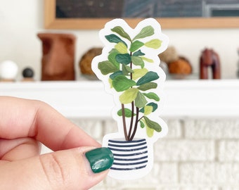 Green Fiddle-Leaf Fig Plant Clear Sticker
