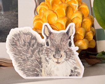 Hand Drawn Squirrel Sticker – Woodland Animal Vinyl Decal (Waterproof)
