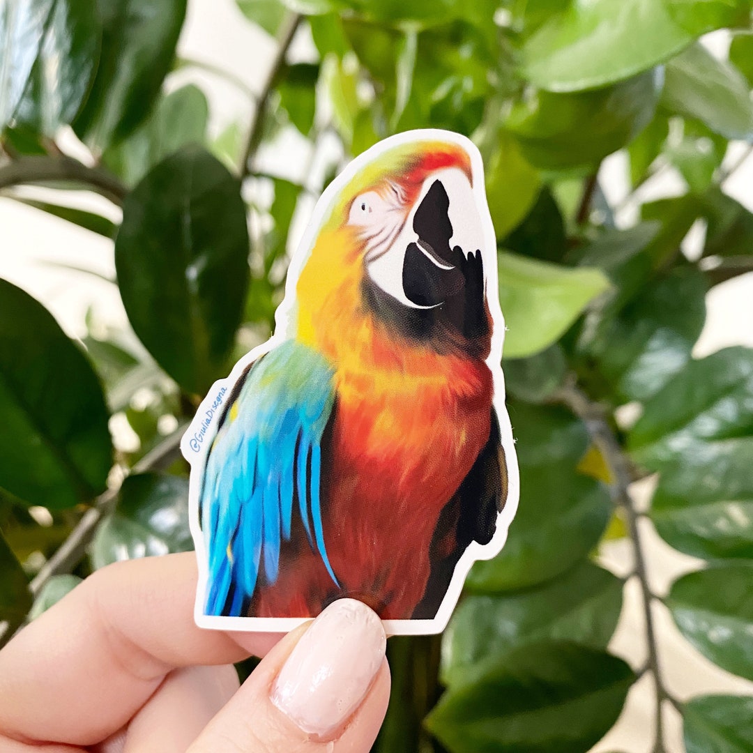 Colorful Parrot Bird Glossy Sticker, Waterproof, Gift, Environment ...