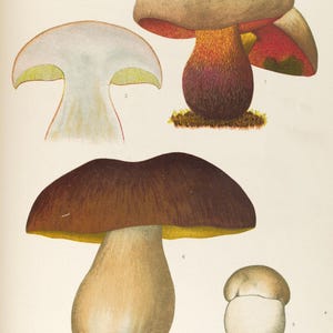 May include: A set of three ceramic mugs with a speckled, matte finish. The mugs are in shades of cream, light gray, and dark gray. Each mug has a simple, minimalist design, perfect for coffee or tea.