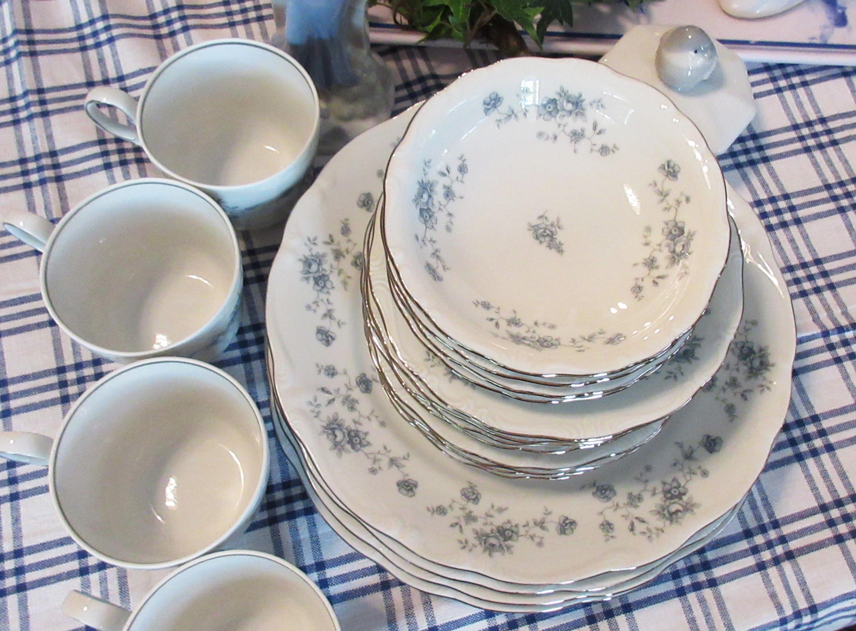 Johann Haviland Blue Garland, 20 Pc Set, Vintage, Fine China