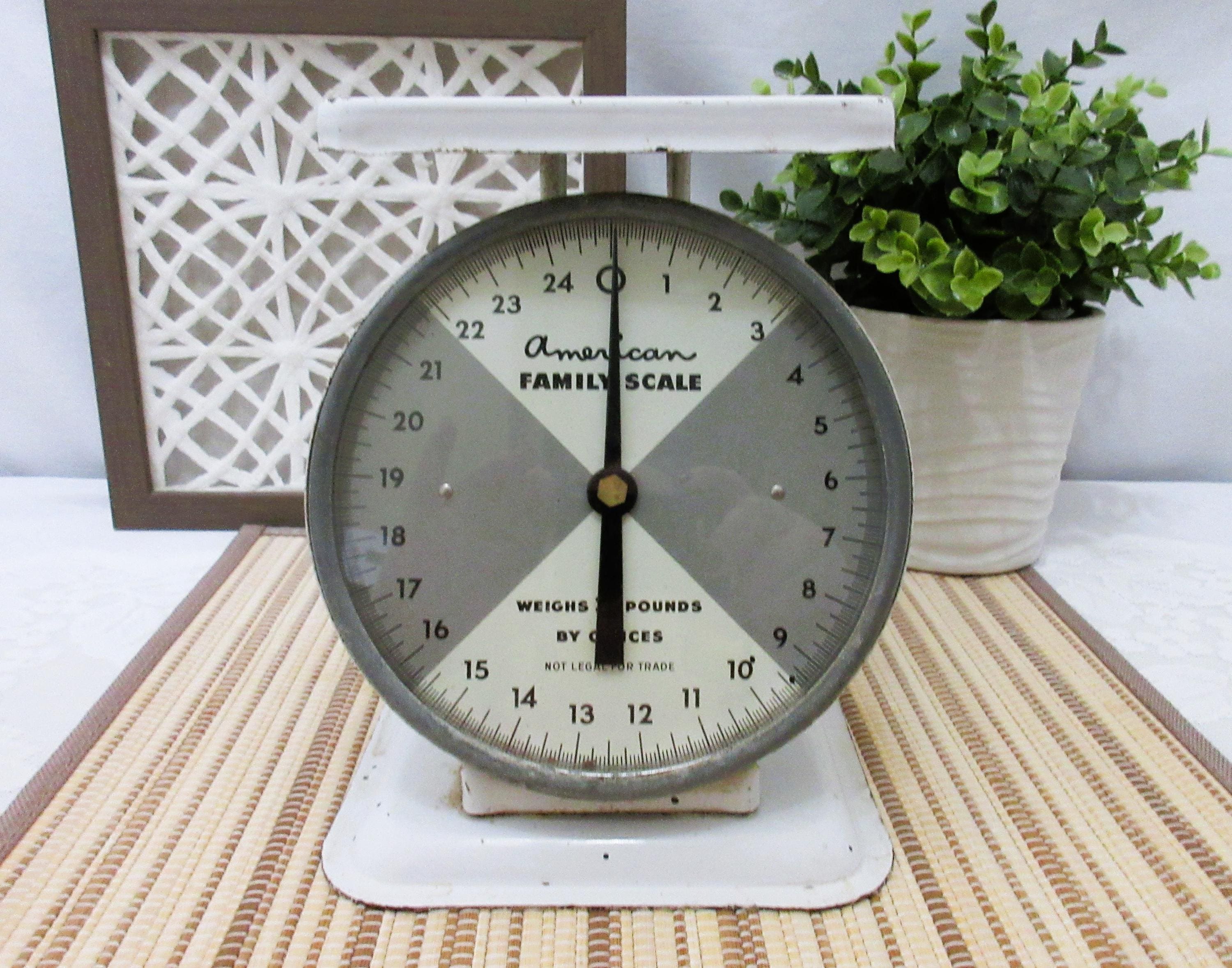 America Family Scale - Etsy