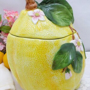 May include: A ceramic cookie jar shaped like a large yellow lemon with a textured rind. The lid features a brown stem and green leaves with small white and pink blossoms. The body of the jar also displays green leaves and white flowers.