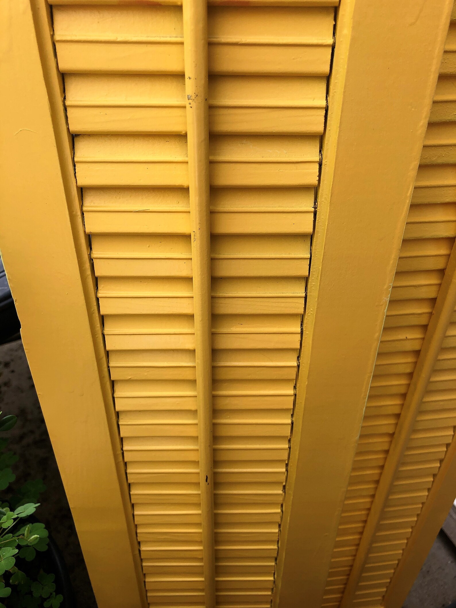 YELLOW SHUTTERS LOUVERS 2 Wood Bright Yellow 35 | Etsy