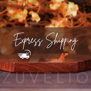 Express Shipping for Fast Delivery