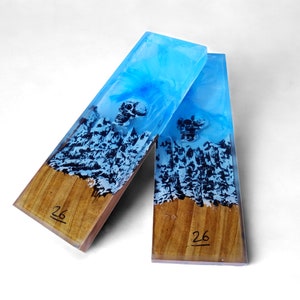 Op de afbeelding: Twee rechthoekige harsblokken met een houten basis. Het bovenste gedeelte is doorschijnend blauw met een ingebedde schedel. Het onderste gedeelte is houtkleurig. Het nummer "26" staat op de houten basis.